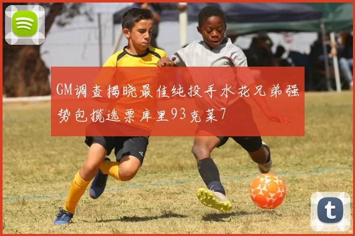GM调查揭晓最佳纯投手水花兄弟强势包揽选票库里93克莱7