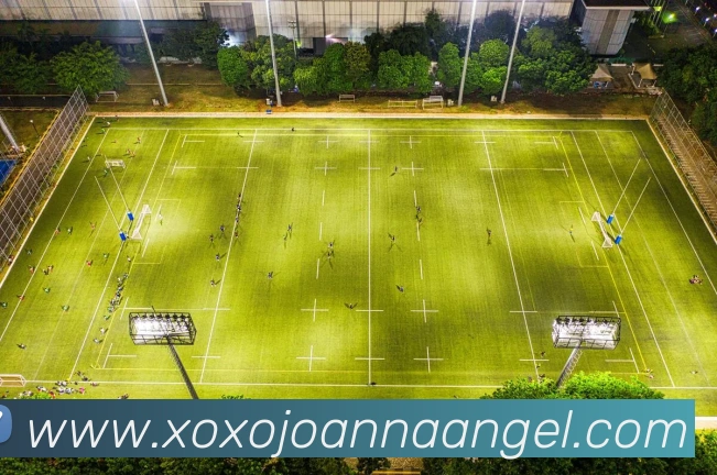 乐竞体育服务体系