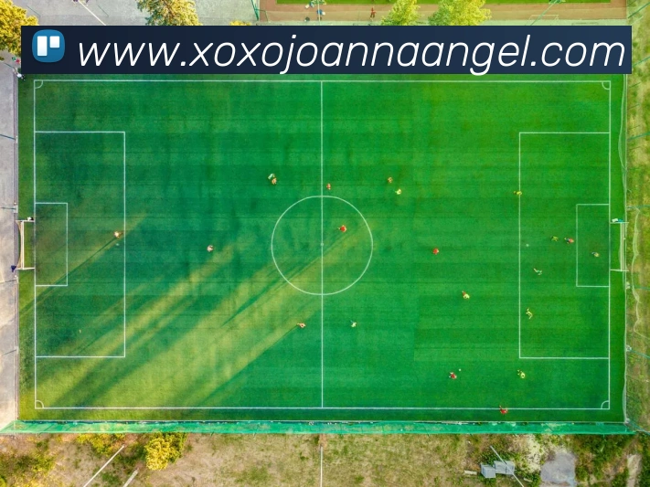 乐竞体育服务体系