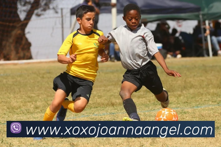 乐竞体育APP 封面图